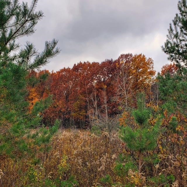 Taylor Road Millington, MI 48746 - Photo 2 of 2