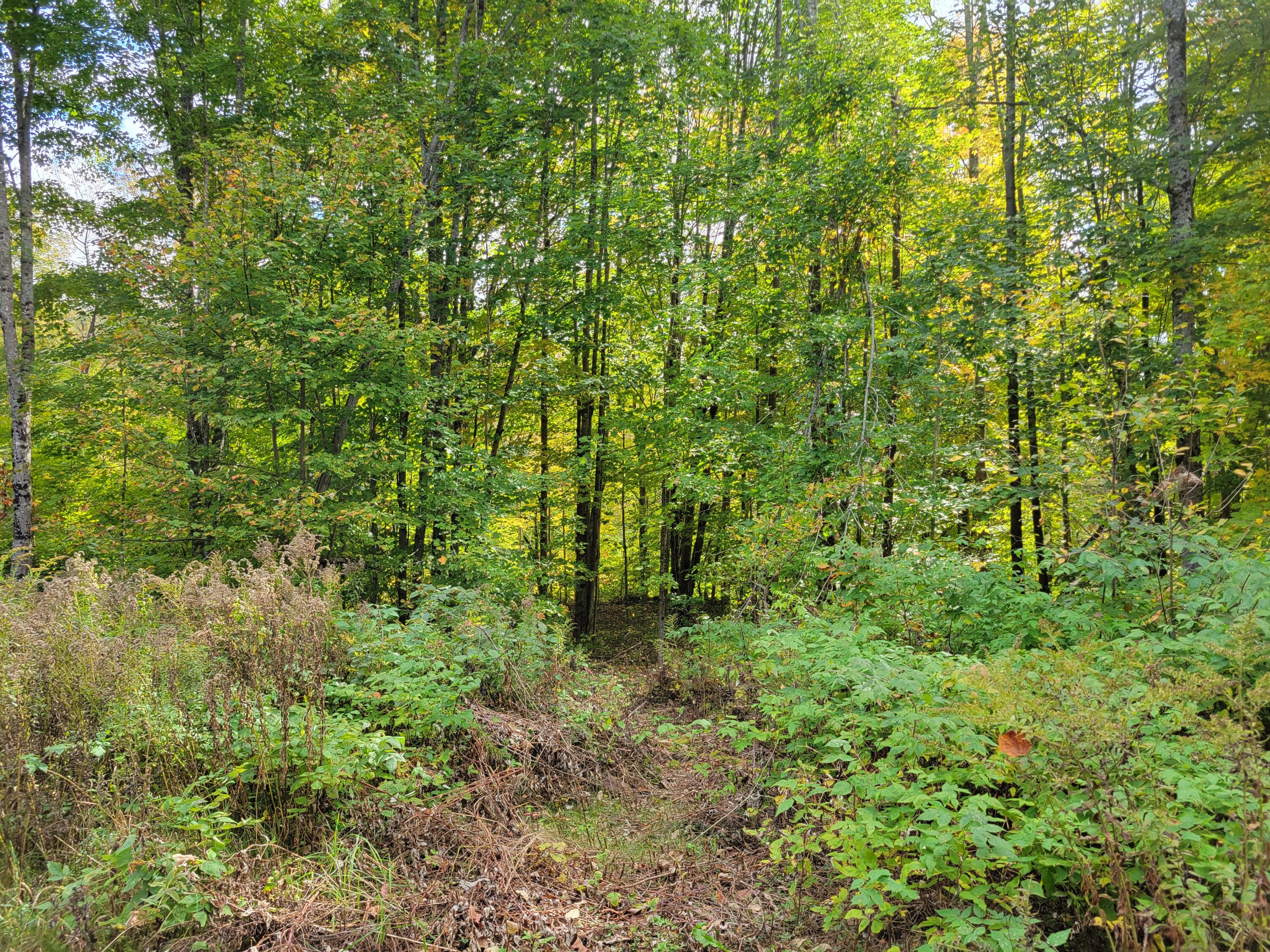 Lot#96 Town House Road Vienna, ME 04360 - Photo 6 of 11 kelley14E