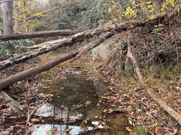 $295,000 | Tbd Doris Avenue, Unit 38 7 ACRES, Mount Airy, NC 27030