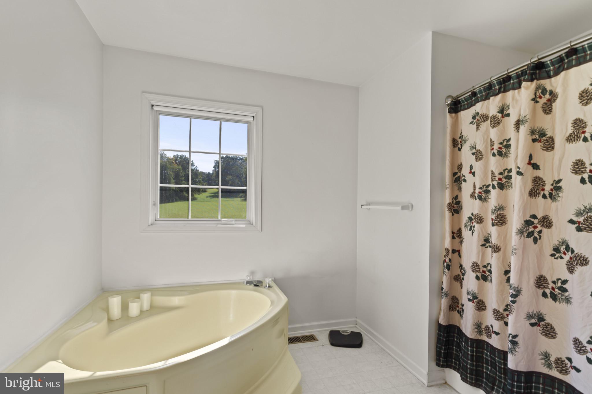 1350 Porters Road Spring Grove, PA 17362 - Photo 17 of 32 Large soaker tub and separate shower