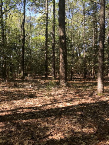 0 Old Neck Road, Unit 8 Exmore, VA 23350 - Photo 17 of 17
