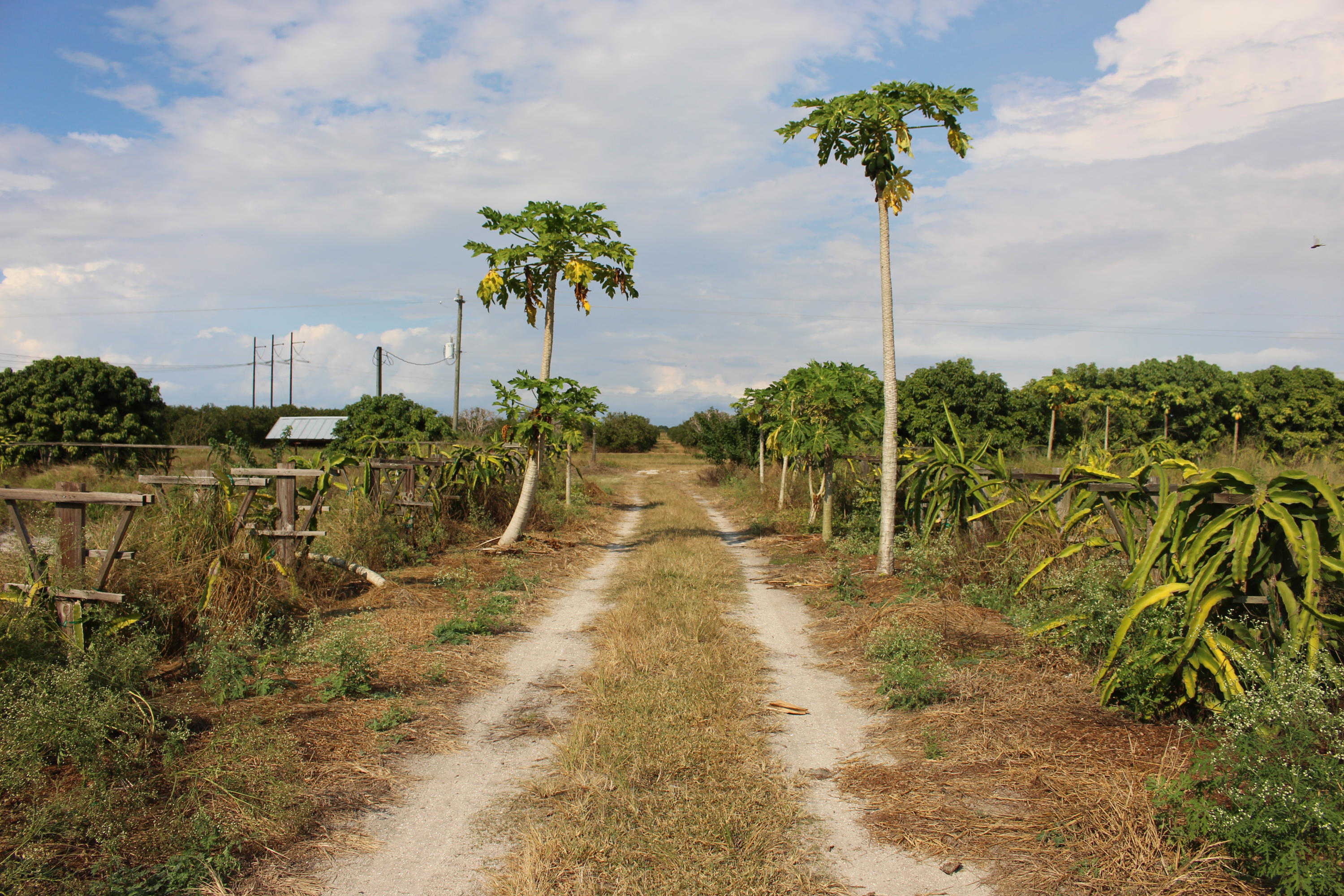 20000 Southwest Farm Road Indiantown, FL 34956 - Photo 11 of 36 Entry