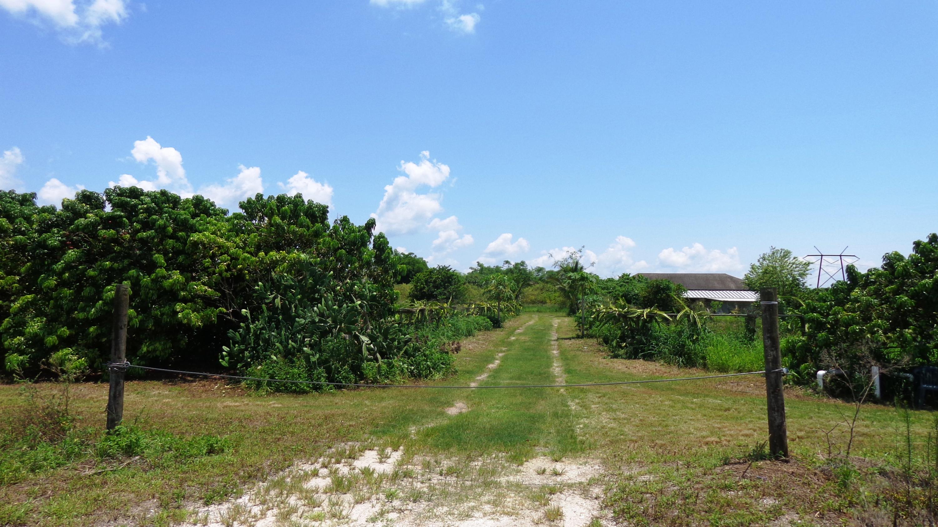 20000 Southwest Farm Road Indiantown, FL 34956 - Photo 14 of 36 Entry