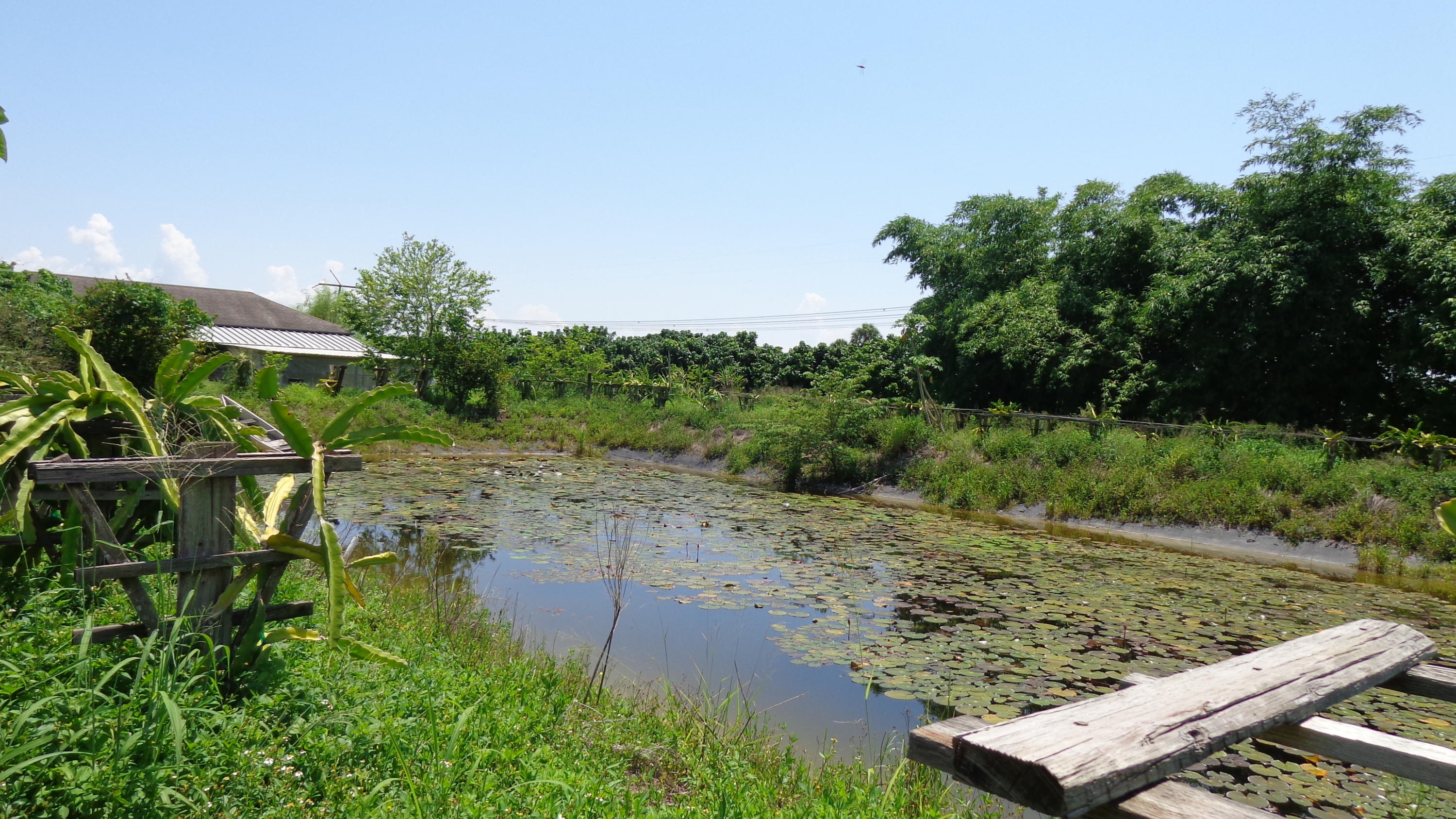20000 Southwest Farm Road Indiantown, FL 34956 - Photo 19 of 36 pond