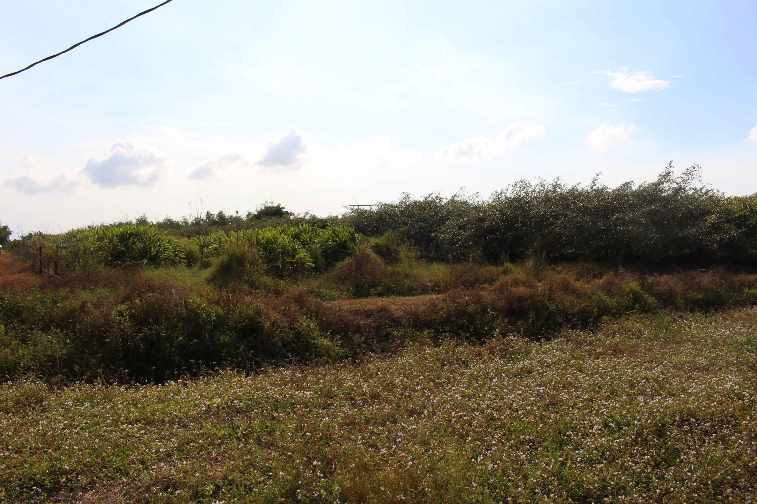 20000 Southwest Farm Road Indiantown, FL 34956 - Photo 23 of 36 IMG_2299