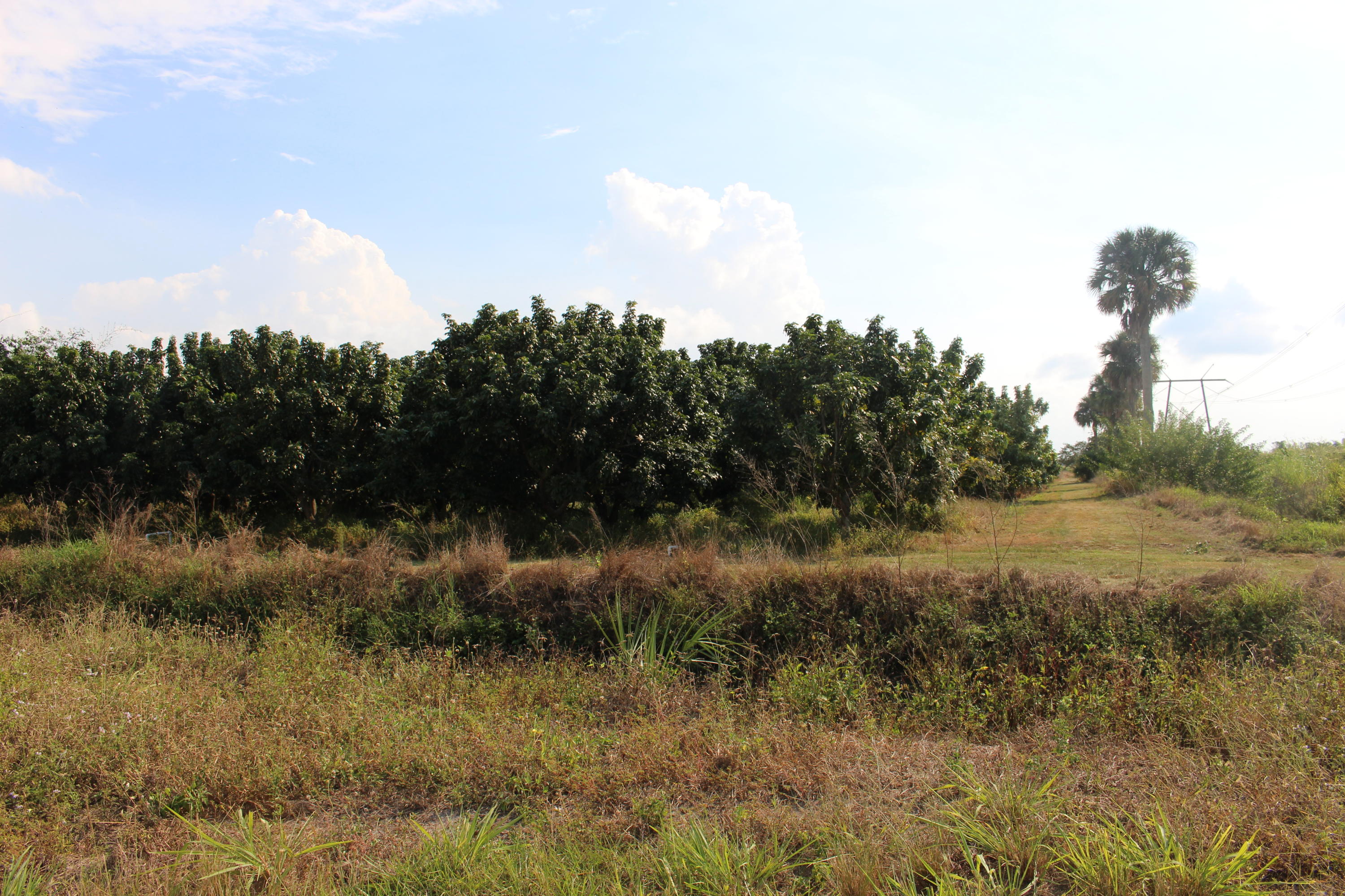20000 Southwest Farm Road Indiantown, FL 34956 - Photo 24 of 36 IMG_2300