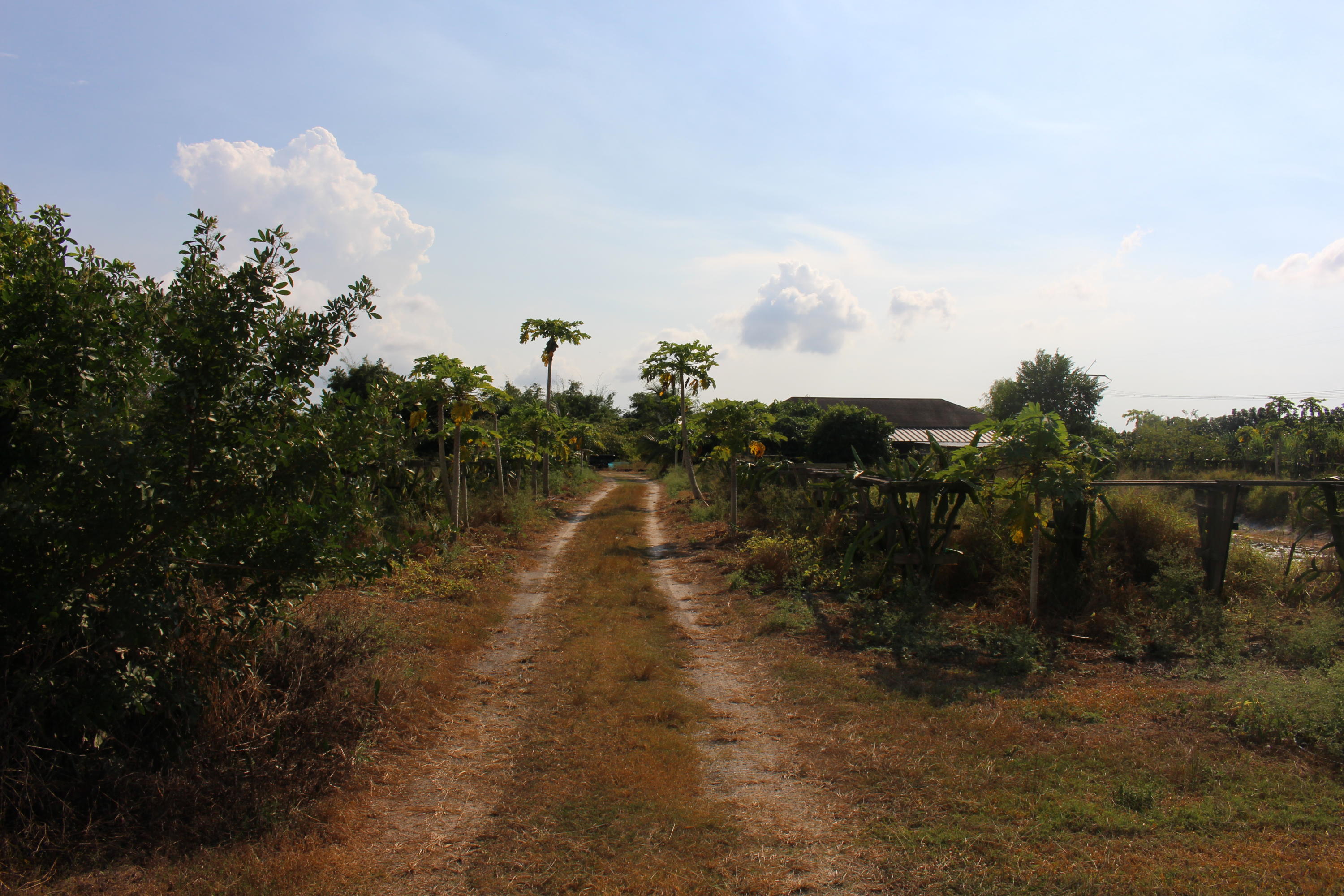 20000 Southwest Farm Road Indiantown, FL 34956 - Photo 28 of 36 IMG_2305