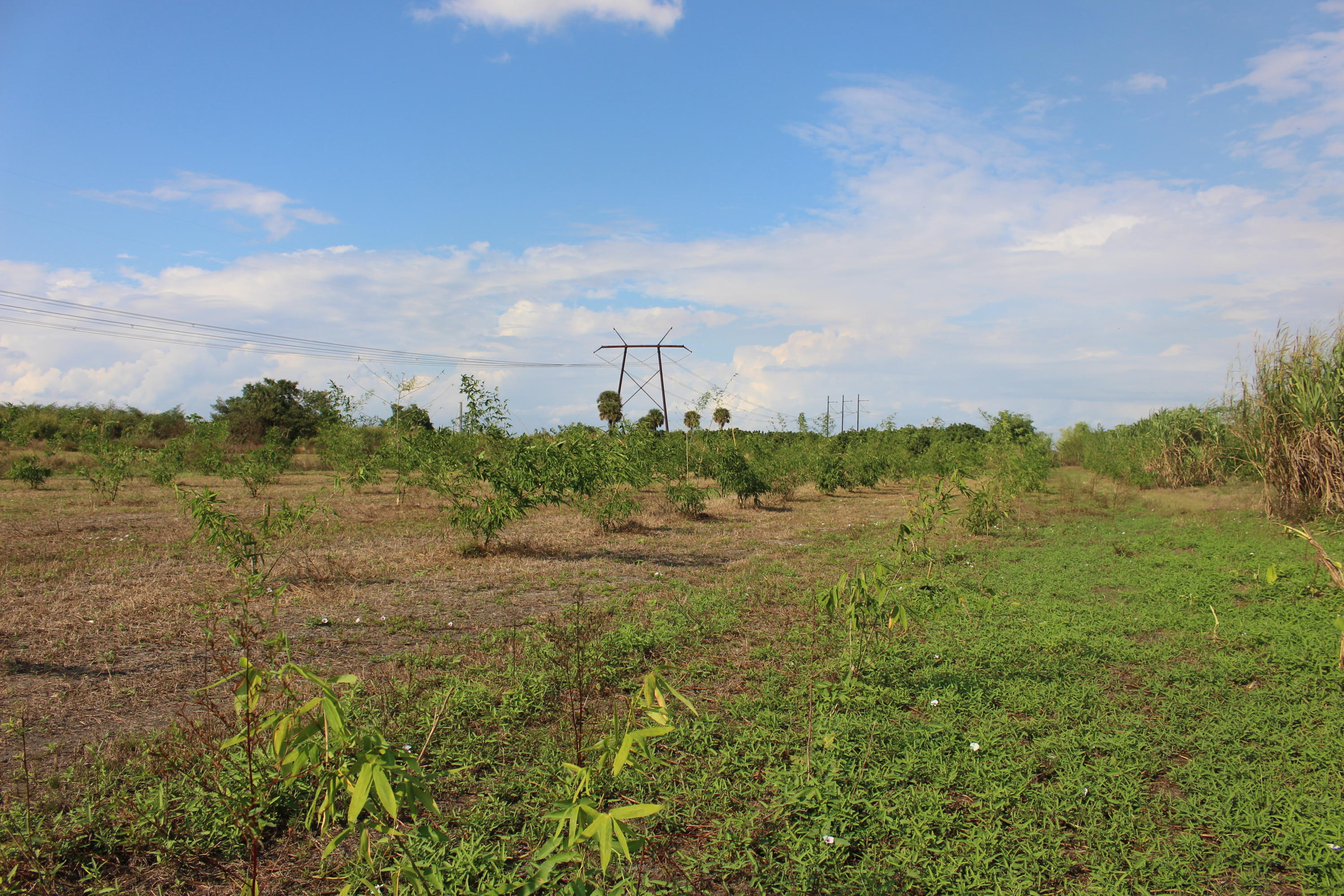 20000 Southwest Farm Road Indiantown, FL 34956 - Photo 31 of 36 IMG_2315