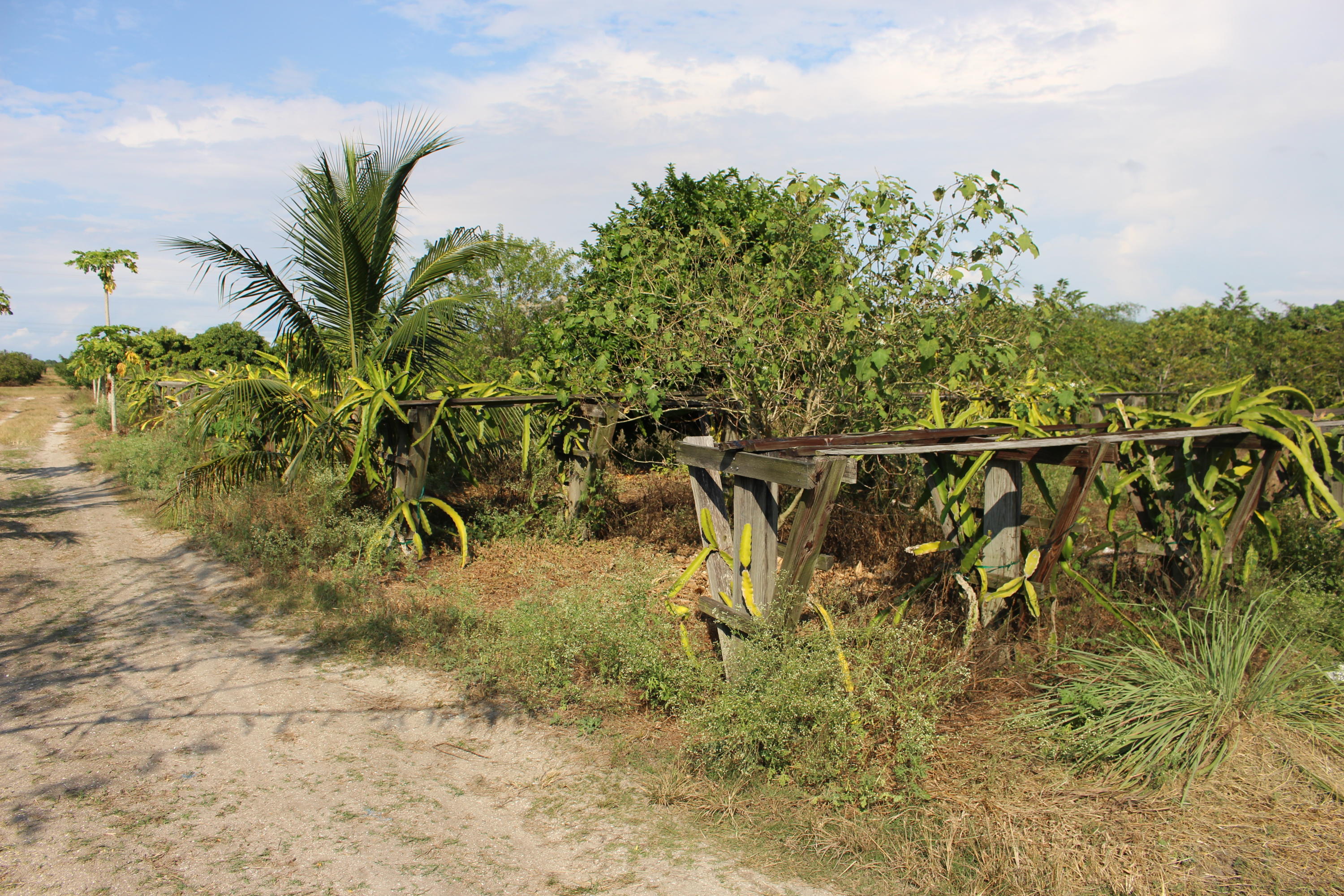 20000 Southwest Farm Road Indiantown, FL 34956 - Photo 34 of 36 IMG_2320