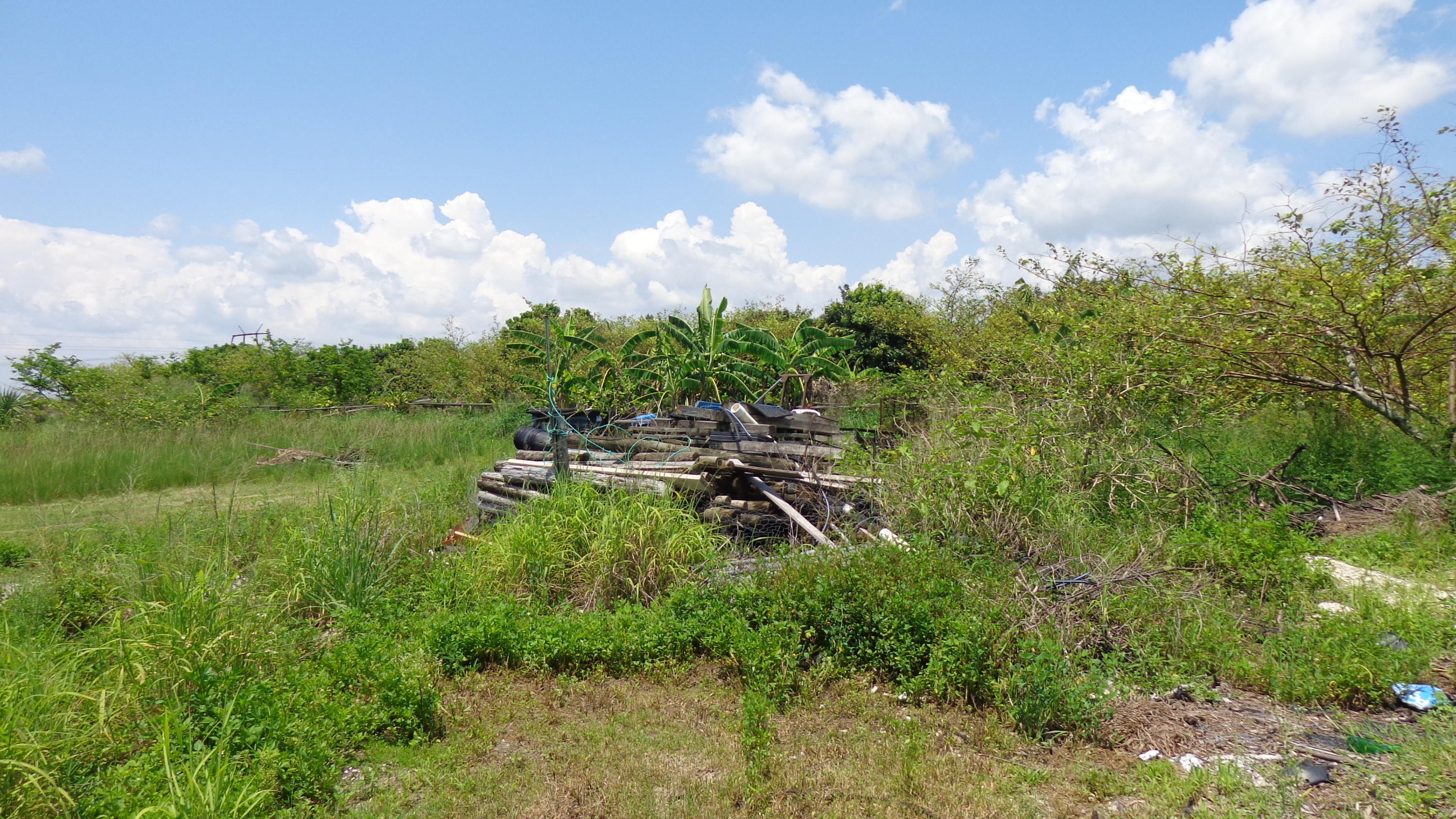 20000 Southwest Farm Road Indiantown, FL 34956 - Photo 36 of 36 2016-06-14 13.39.31