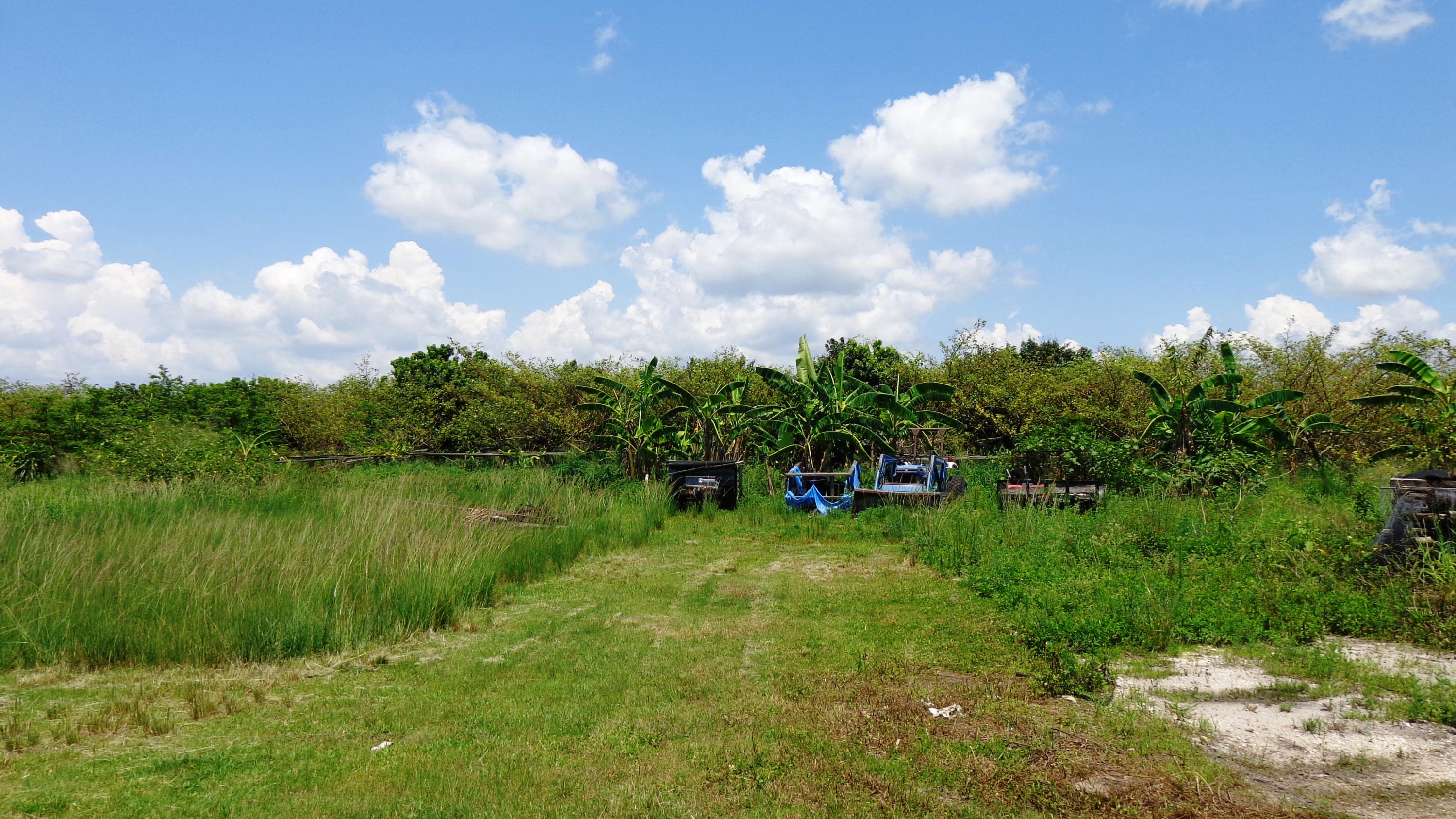 20000 Southwest Farm Road Indiantown, FL 34956 - Photo 9 of 36 All Equipment