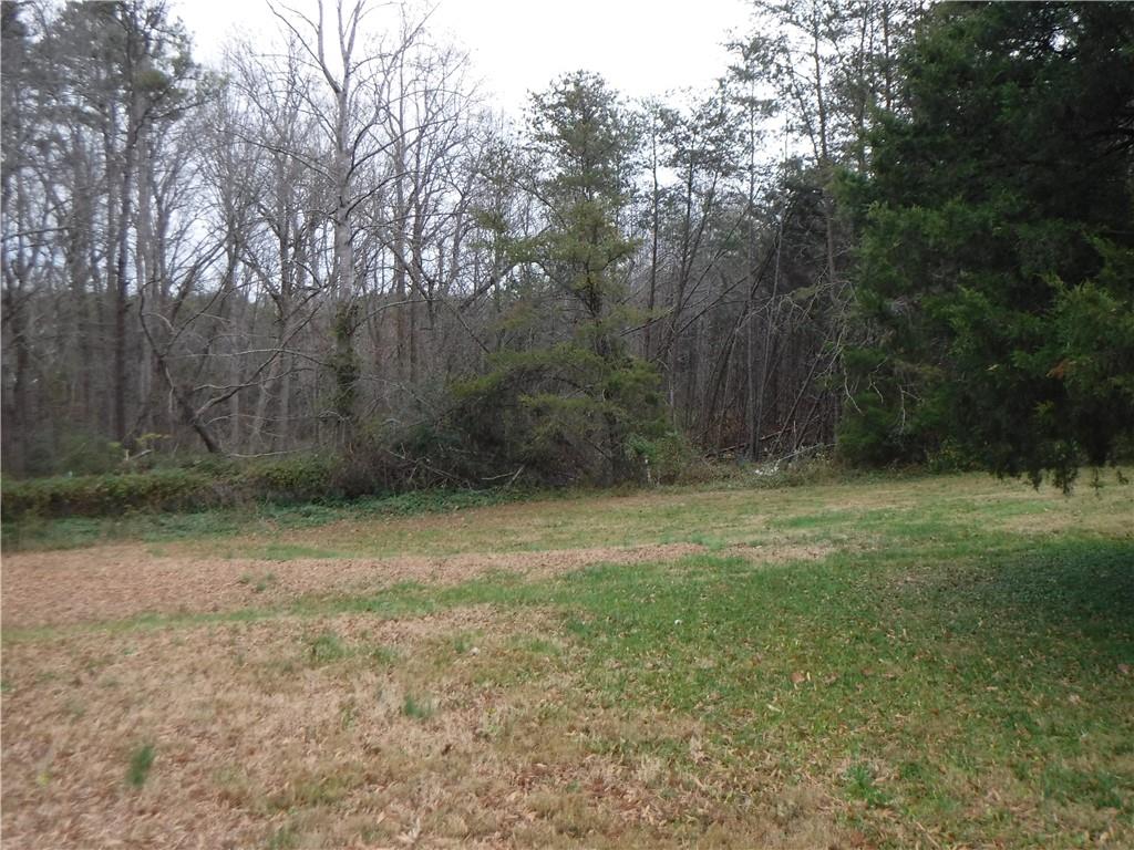2940 Community Road Claremont, NC 28610 - Photo 39 of 47 Gallery Image 39