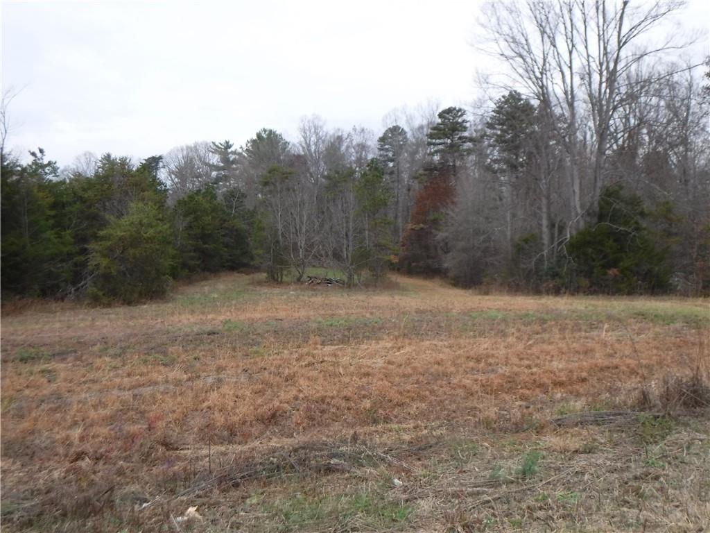 2940 Community Road Claremont, NC 28610 - Photo 42 of 47 Gallery Image 42