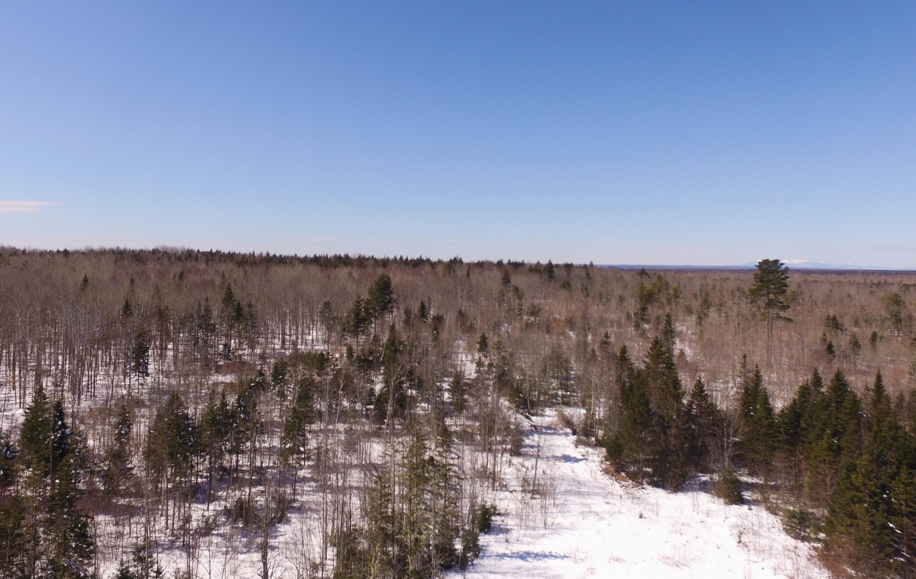 1040 Estabrook Road Amity, ME 04471 - Photo 16 of 17 DJI_0008