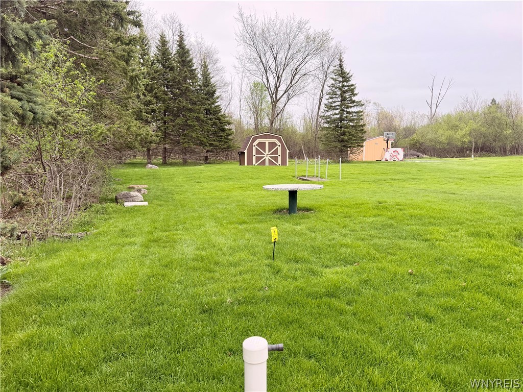 229 Wind Mill Road West Seneca, NY 14224 - Photo 49 of 49