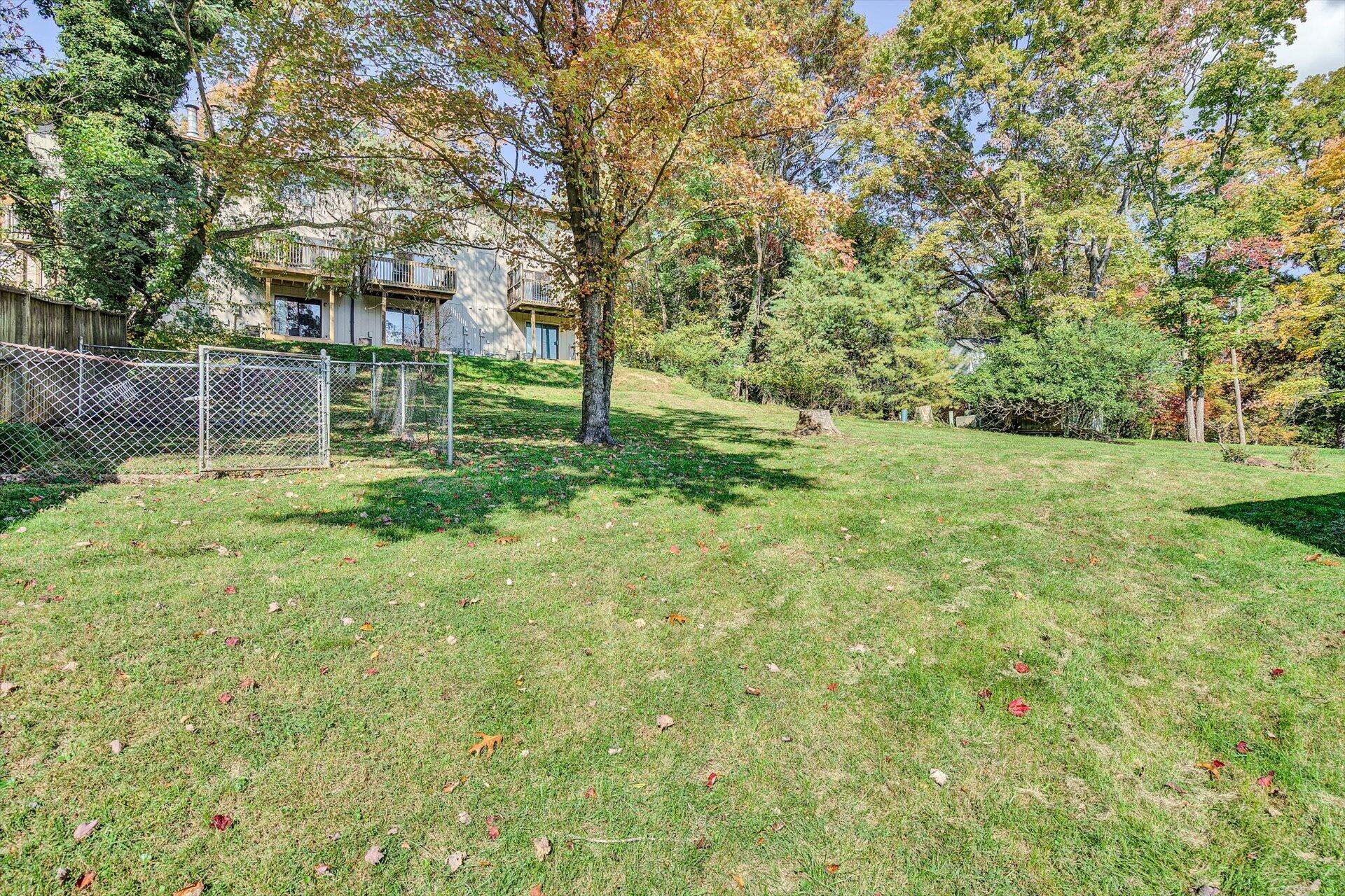 3517 Meadowlark Road Roanoke, VA 24018 - Photo 27 of 28 27_Back_Yard_3517_Meadowlark Rd