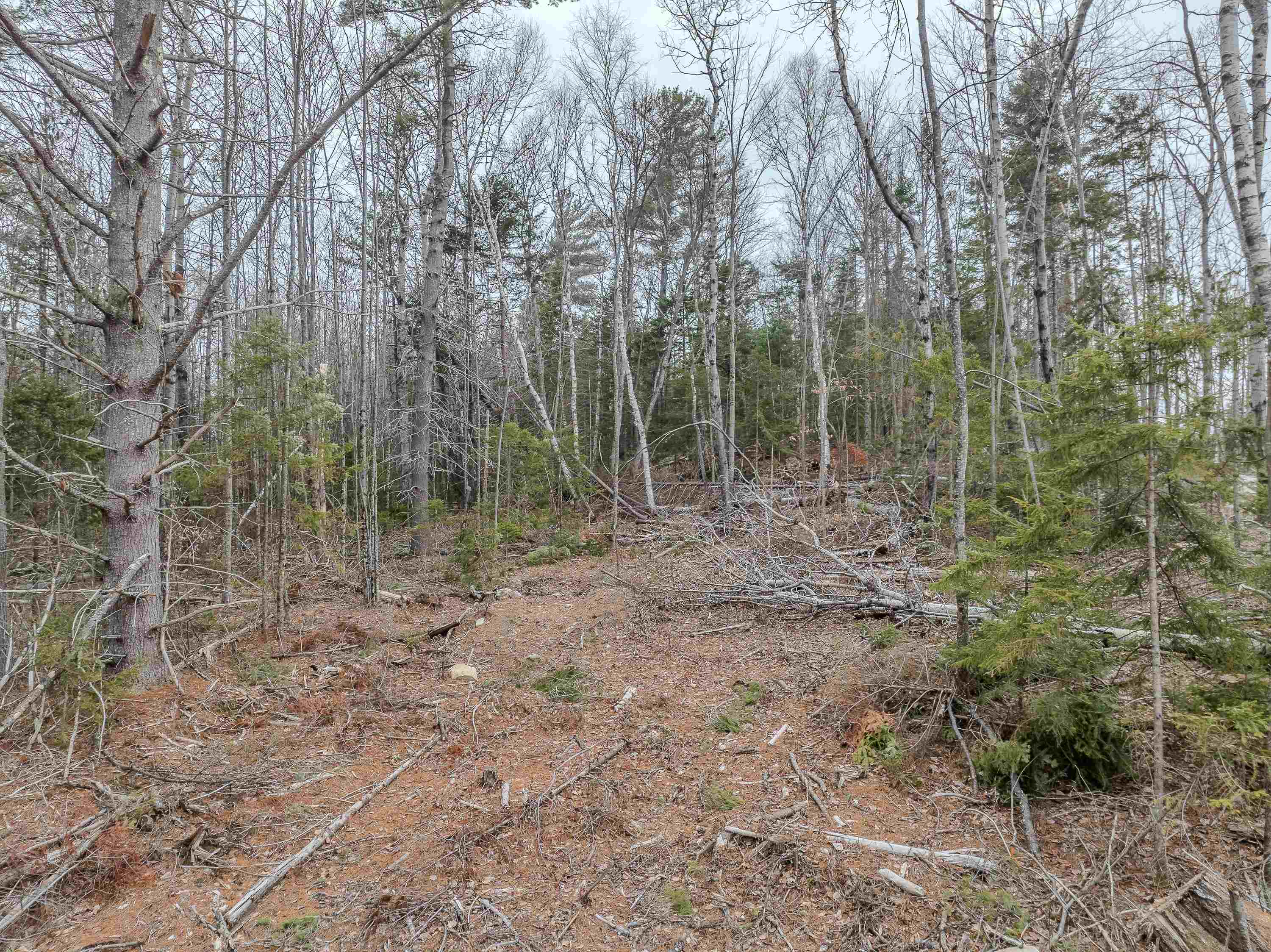 0 Ridge Road, Unit 41 Bethlehem, NH 03574 - Photo 20 of 23