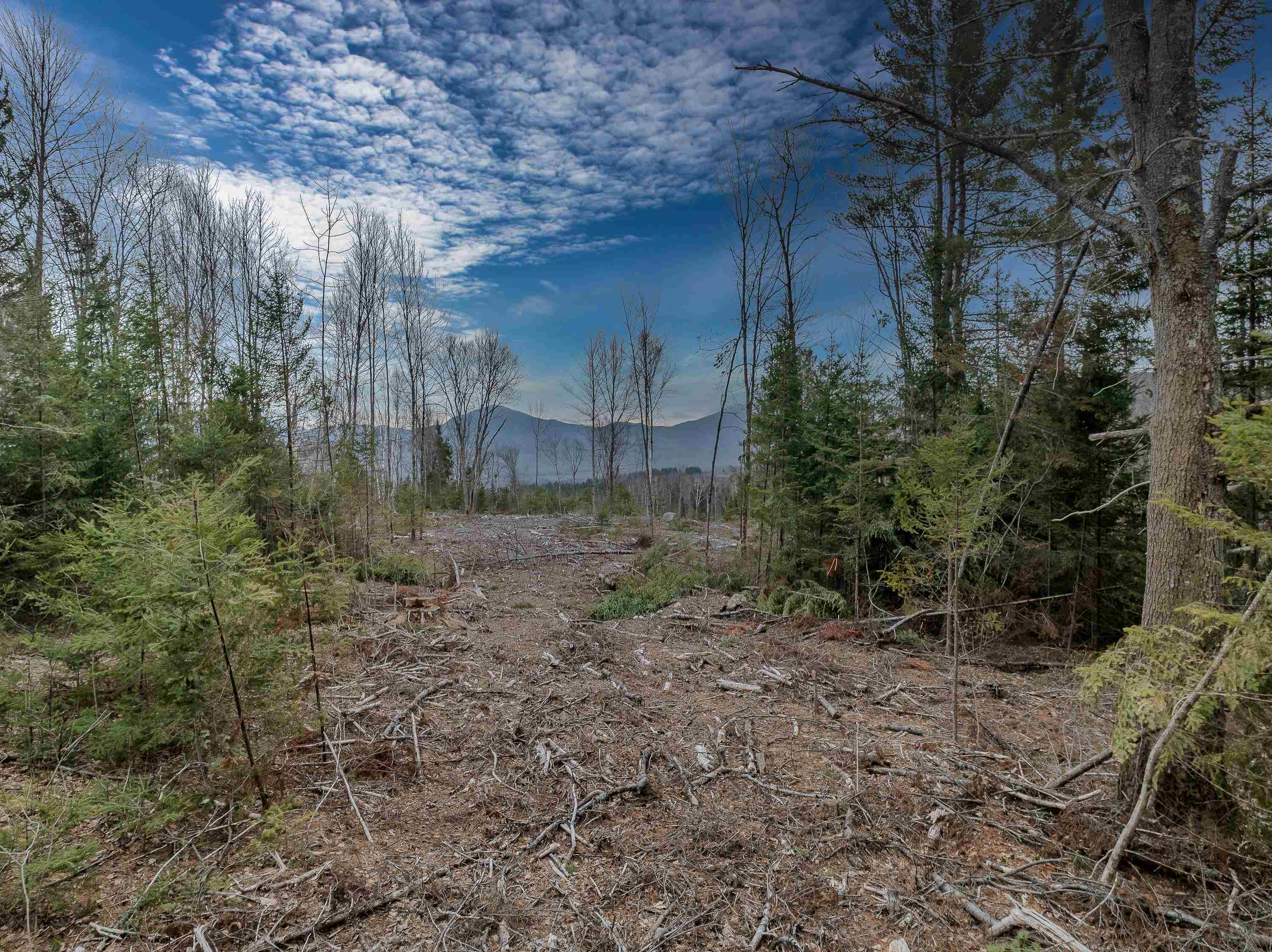 0 Ridge Road, Unit 41 Bethlehem, NH 03574 - Photo 2 of 23