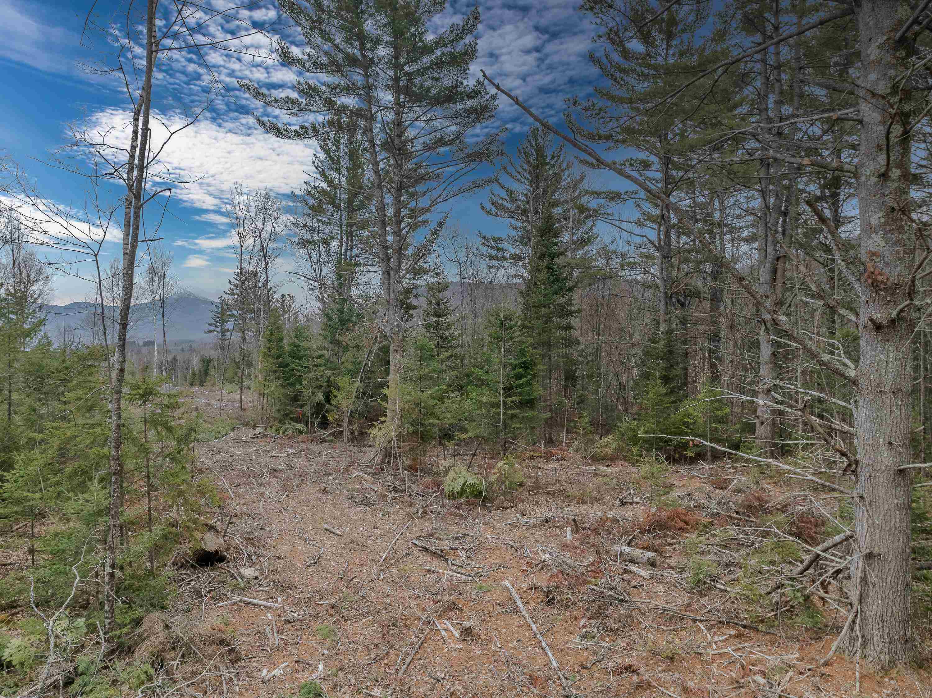 0 Ridge Road, Unit 41 Bethlehem, NH 03574 - Photo 22 of 23