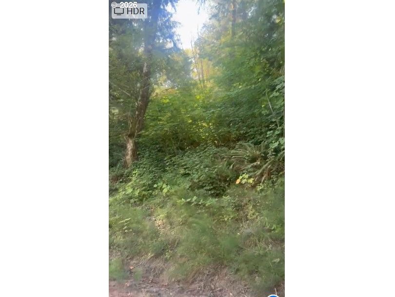 0 Adj 82050 Red Bluff Road Seaside, OR 97138 - Photo 3 of 11