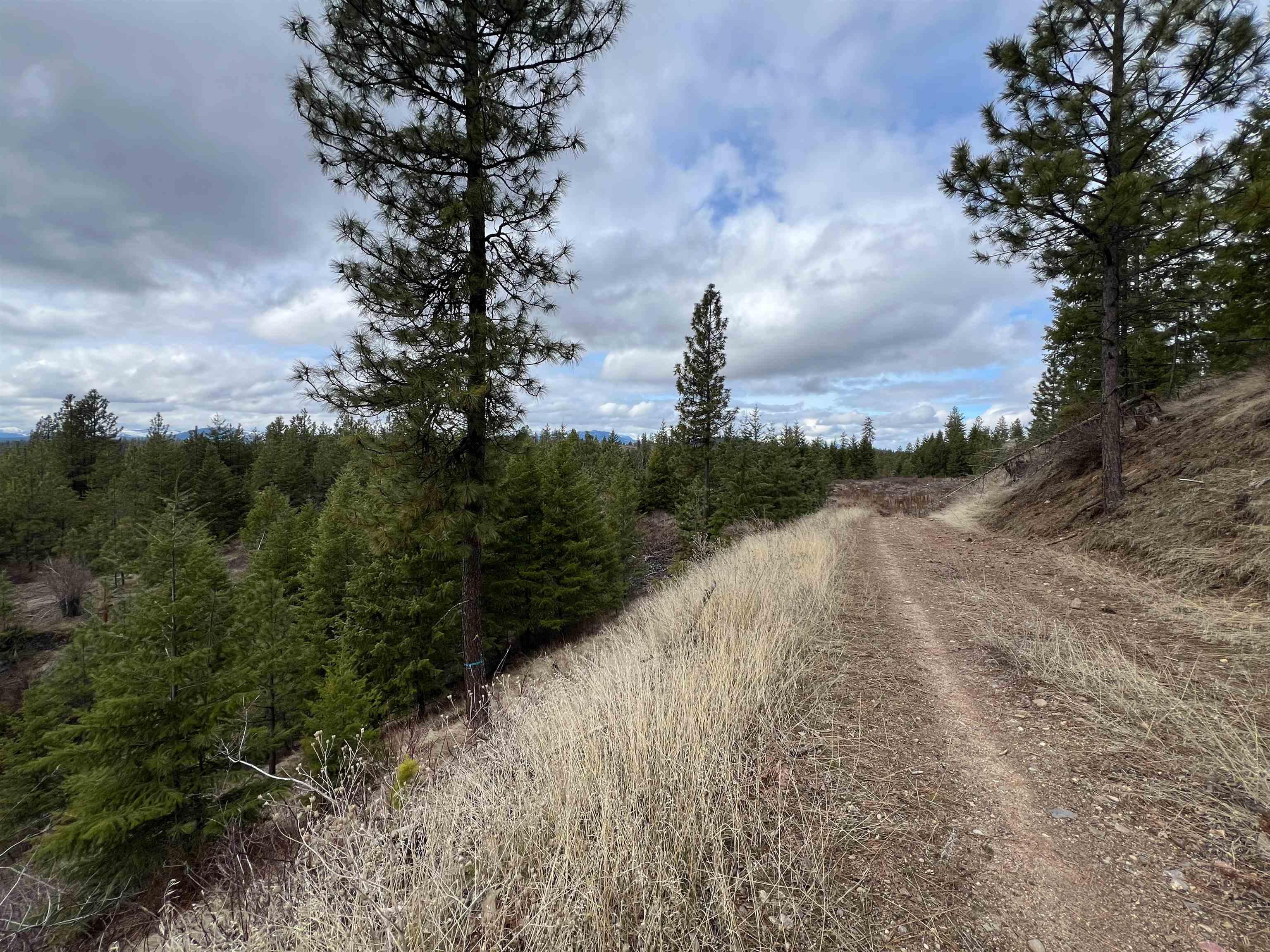 352 X Green Road Valley, WA 99181 - Photo 12 of 32
