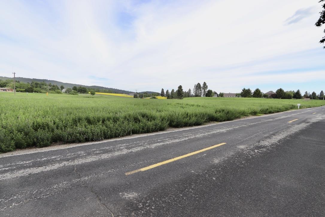 6205 South Waneta Approx Road Spokane, WA 99223 - Photo 3 of 16