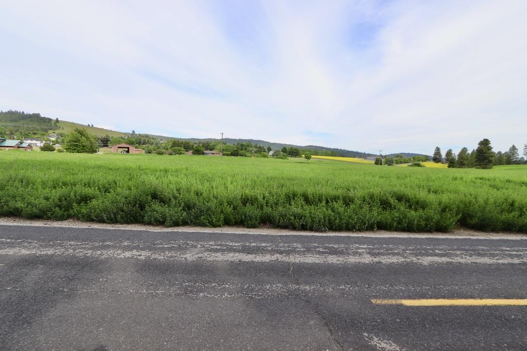 6205 South Waneta Approx Road Spokane, WA 99223 - Photo 4 of 16