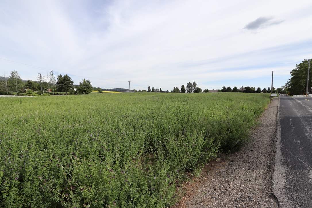 6205 South Waneta Approx Road Spokane, WA 99223 - Photo 8 of 16