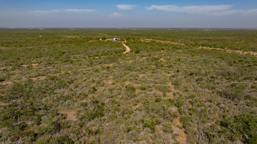 242 Cinco Millas Road Jourdanton, TX 78026 - Photo 9 of 35 Gallery Image 9