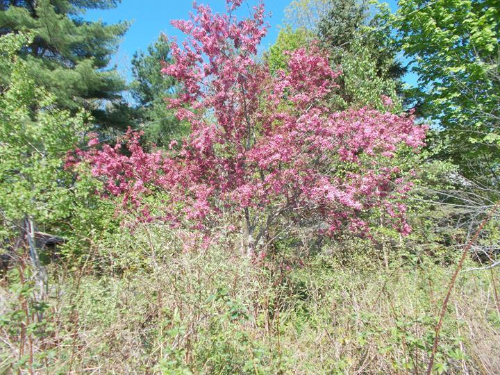 15 Dewsnap Road Dresden, ME 04342 - Photo 26 of 26 In front of the house