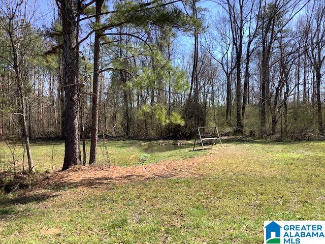 16058 Highway 11 Springville, AL 35146 - Photo 7 of 36