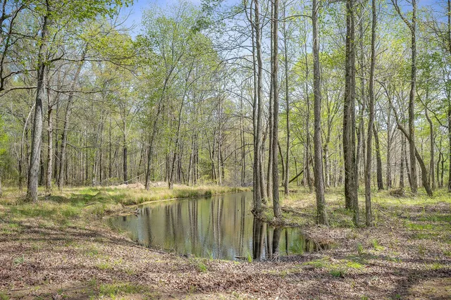 $380,000 | 10157 Manchester Highway, Morrison, TN 37357