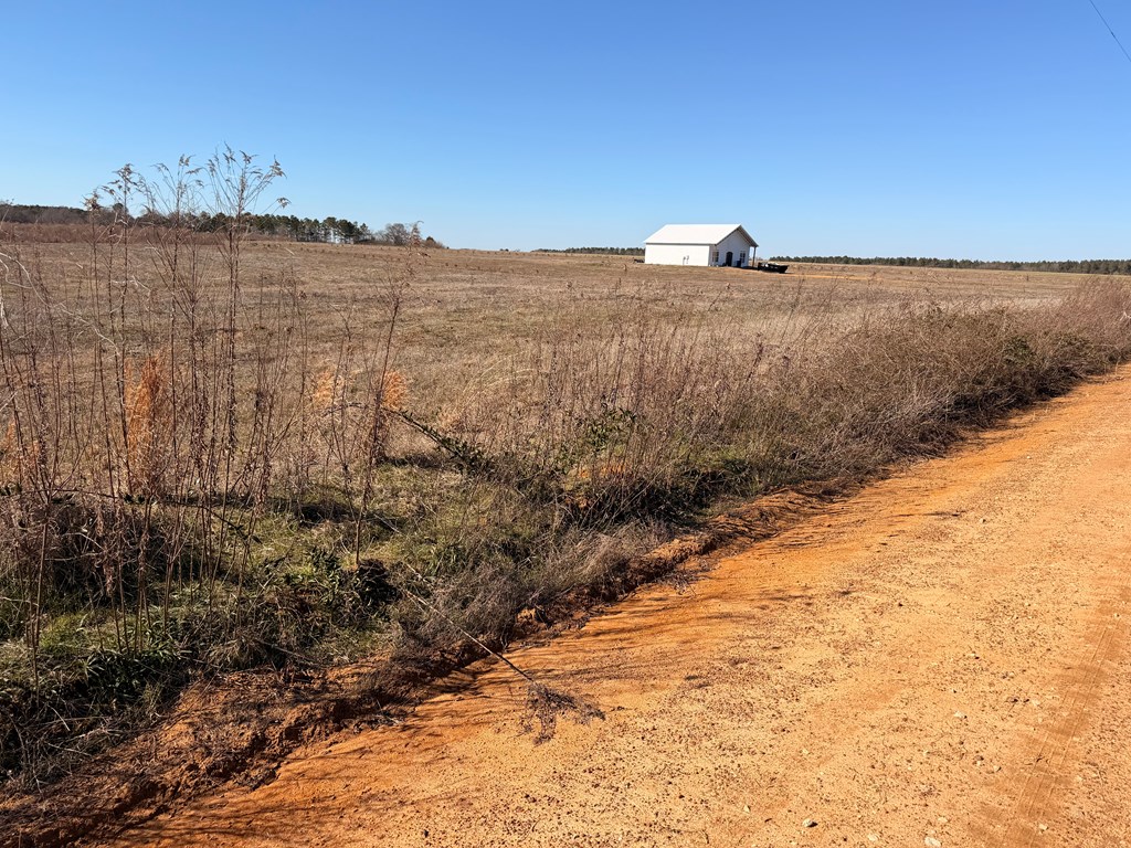Lot 2 Culver Road Newville, AL 36353 - Photo 2 of 6