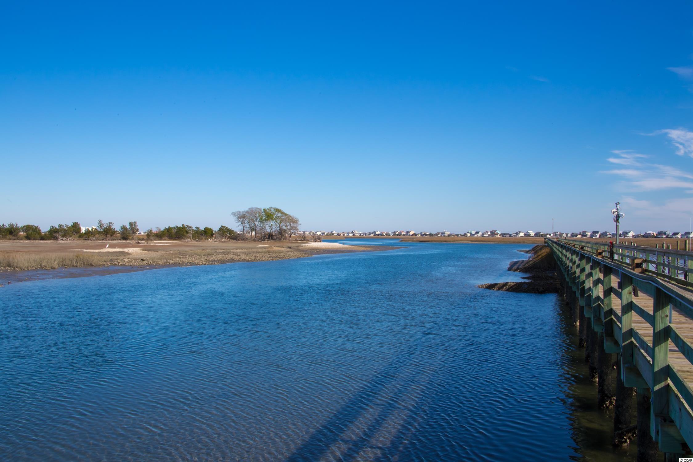 474 Hyacinth Loop Murrells Inlet, SC 29576 - Photo 32 of 38 Gallery Image 32