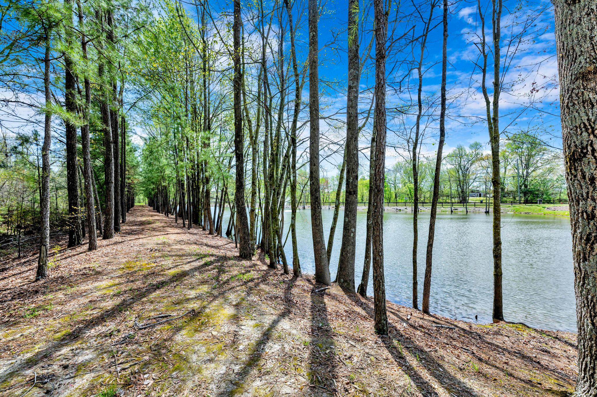 7774 Union Grove Road Union Grove, AL 35175 - Photo 36 of 49 Gallery Image 36