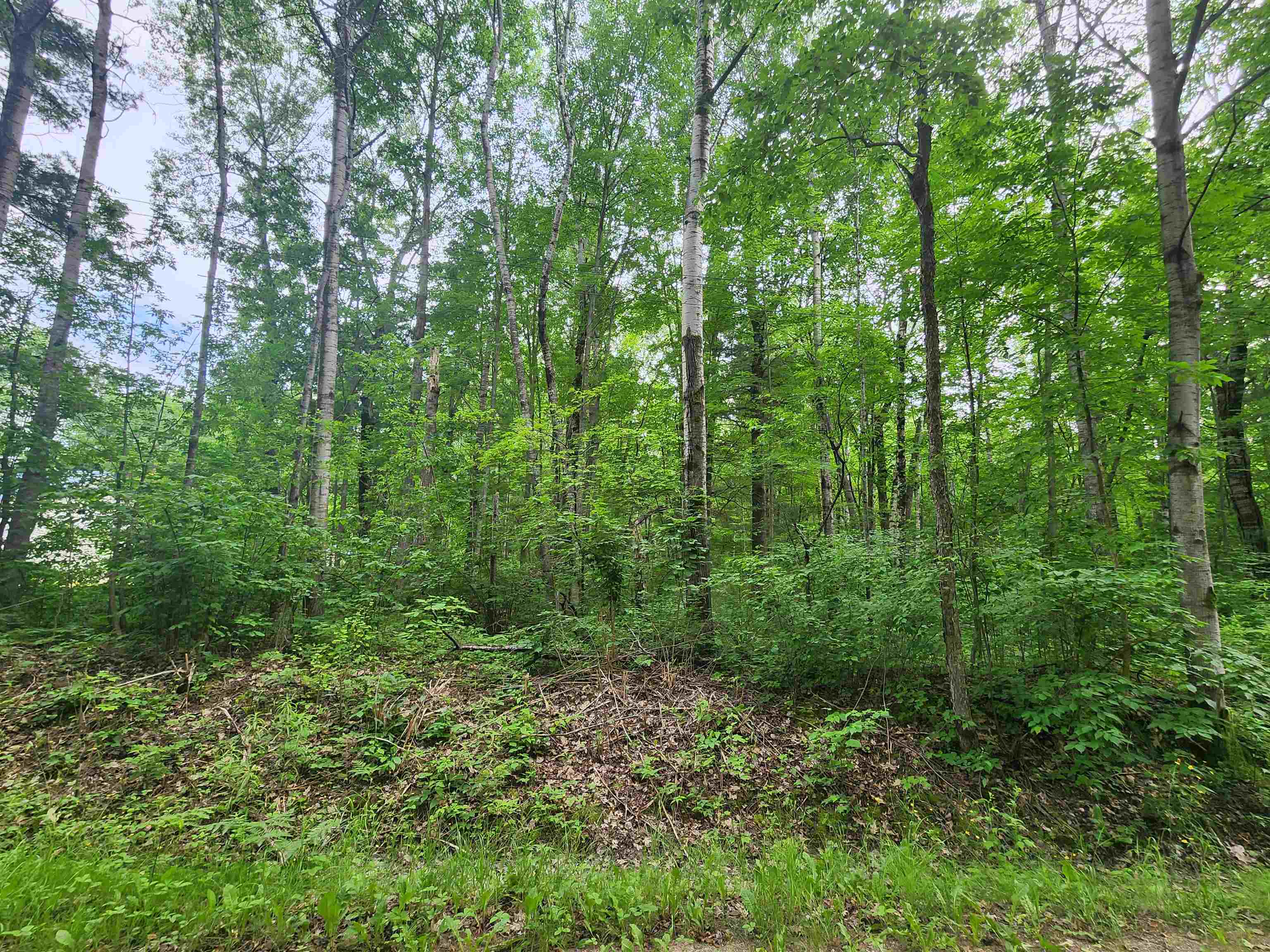 0 Pineview Road Harrison, MI 48625 - Photo 11 of 11