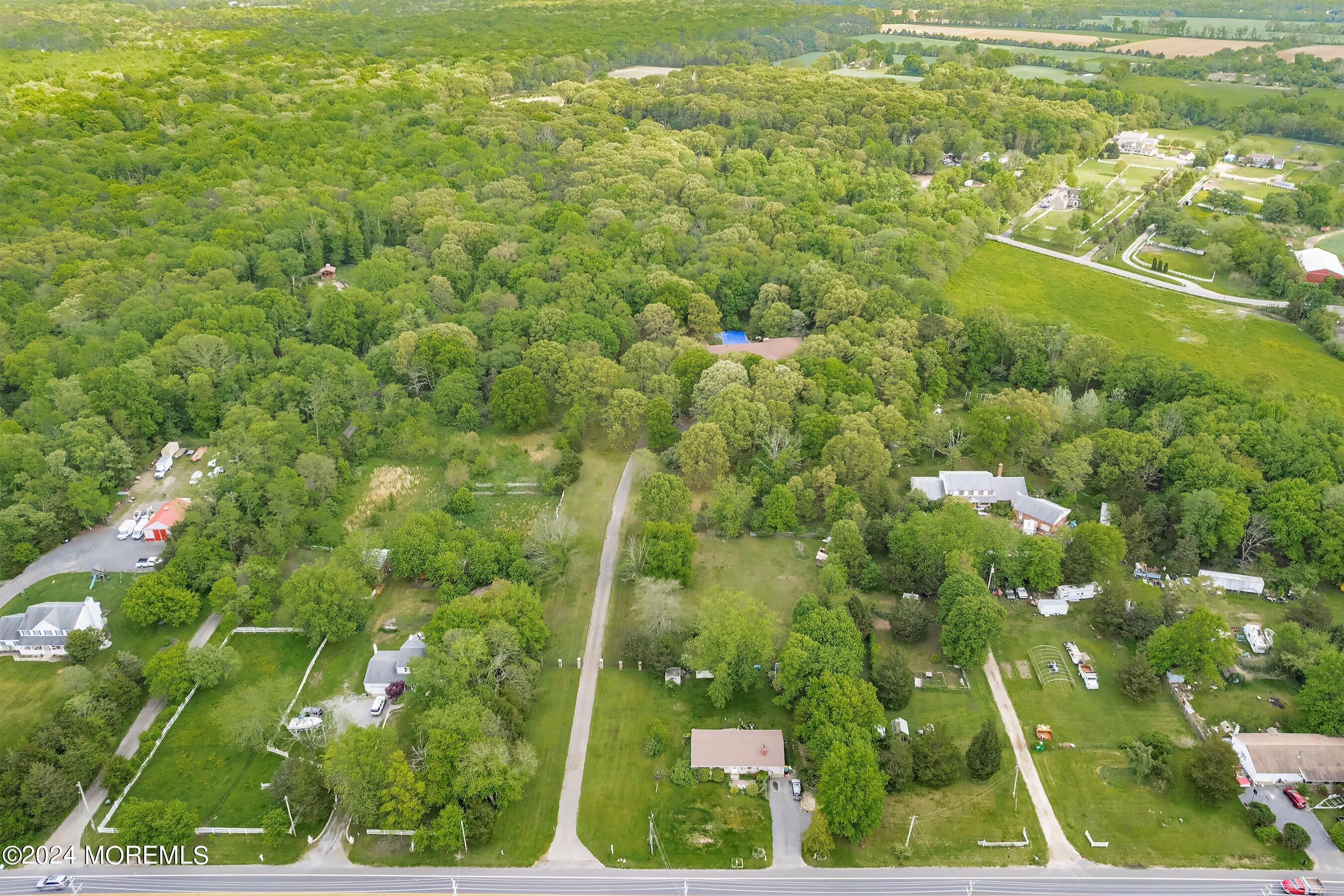 859 Monmouth Road Cream Ridge, NJ 08514 - Photo 50 of 50 a view of a big yard with lots of tree