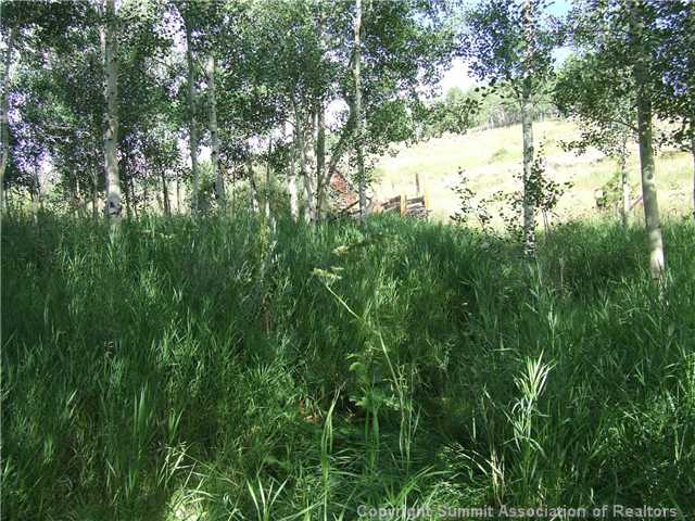 1555 South Ruby Road Silverthorne, CO 80498 - Photo 9 of 25 Other.