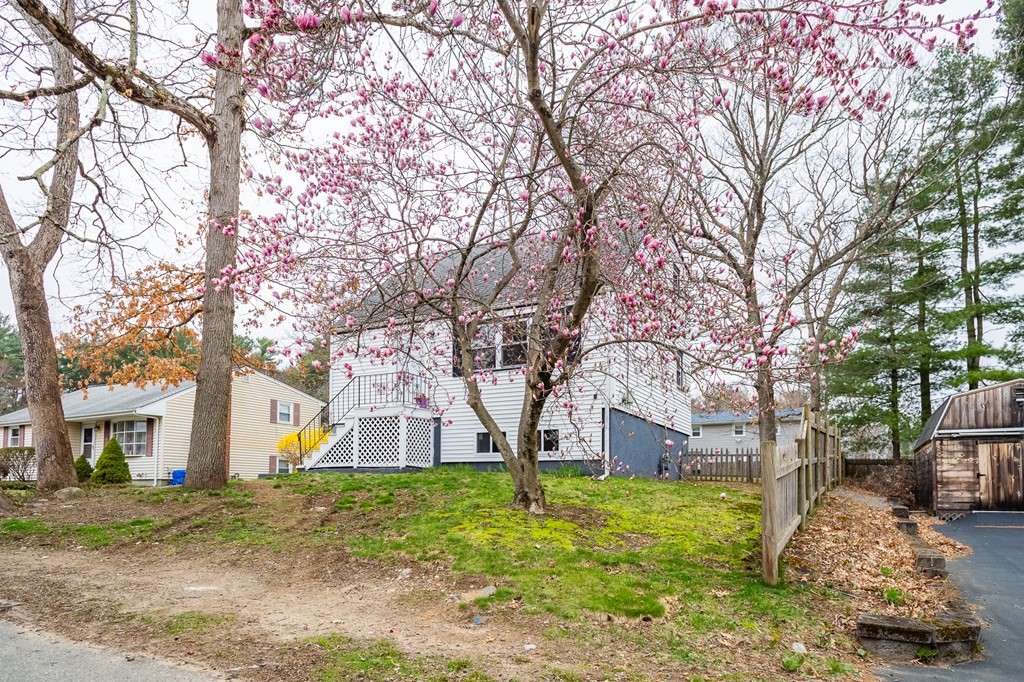 39 Kalmia Road Holbrook, MA 02343 - Photo 27 of 32 a view of a house with a yard and large tree