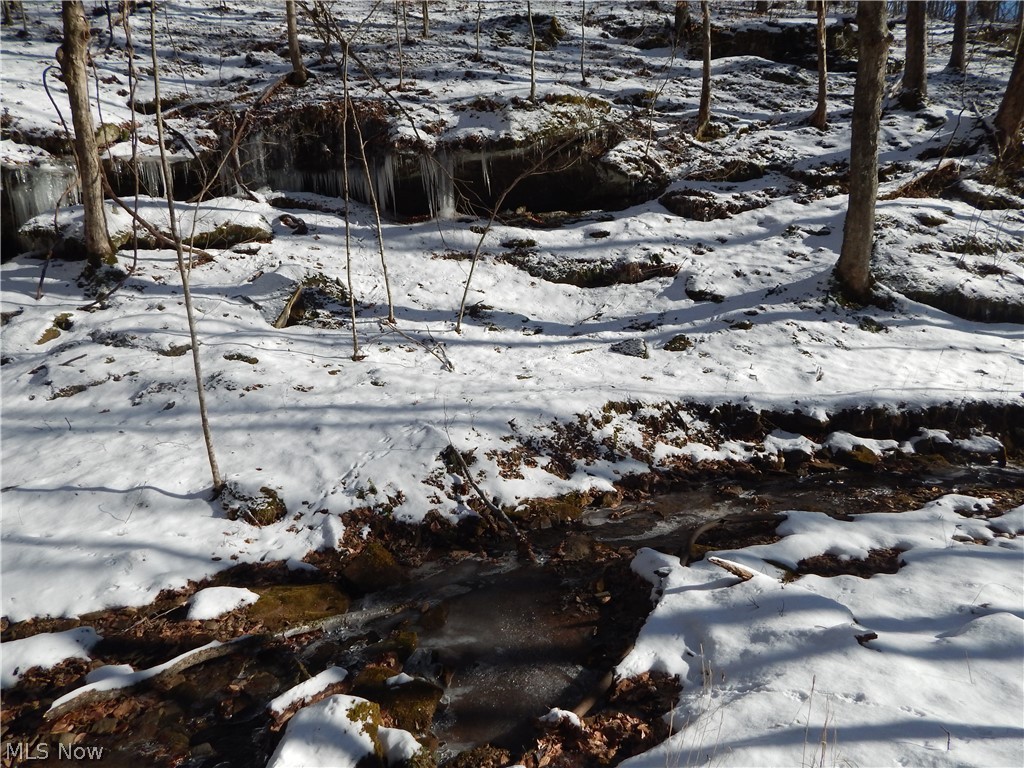 0 Hazelgreen Road Smithville, WV 26178 - Photo 14 of 23