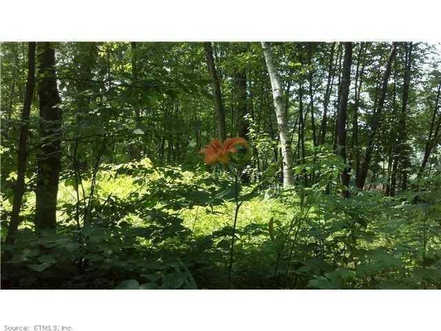 Lot 1 Fowler Road Lebanon, CT 06249 - Photo 1 of 1 a open area of a house with a yard