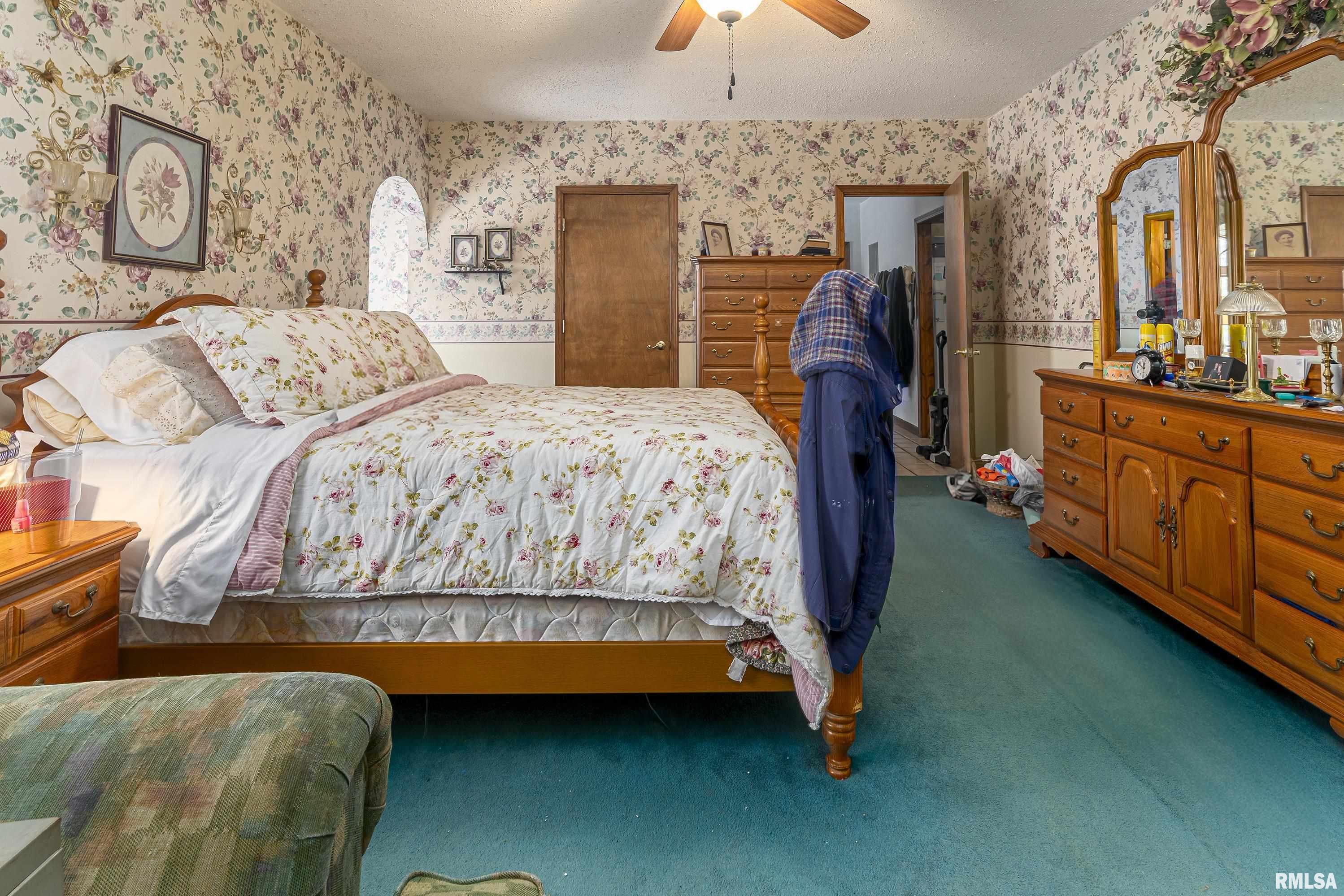 322 Willards Ferry Road Jonesboro, IL 62952 - Photo 19 of 35 Gallery Image 19