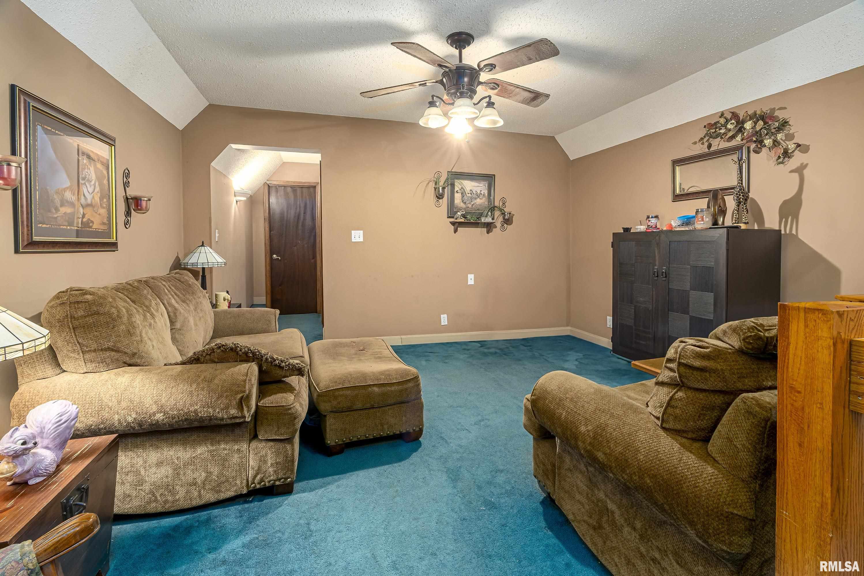 322 Willards Ferry Road Jonesboro, IL 62952 - Photo 25 of 35 Gallery Image 25