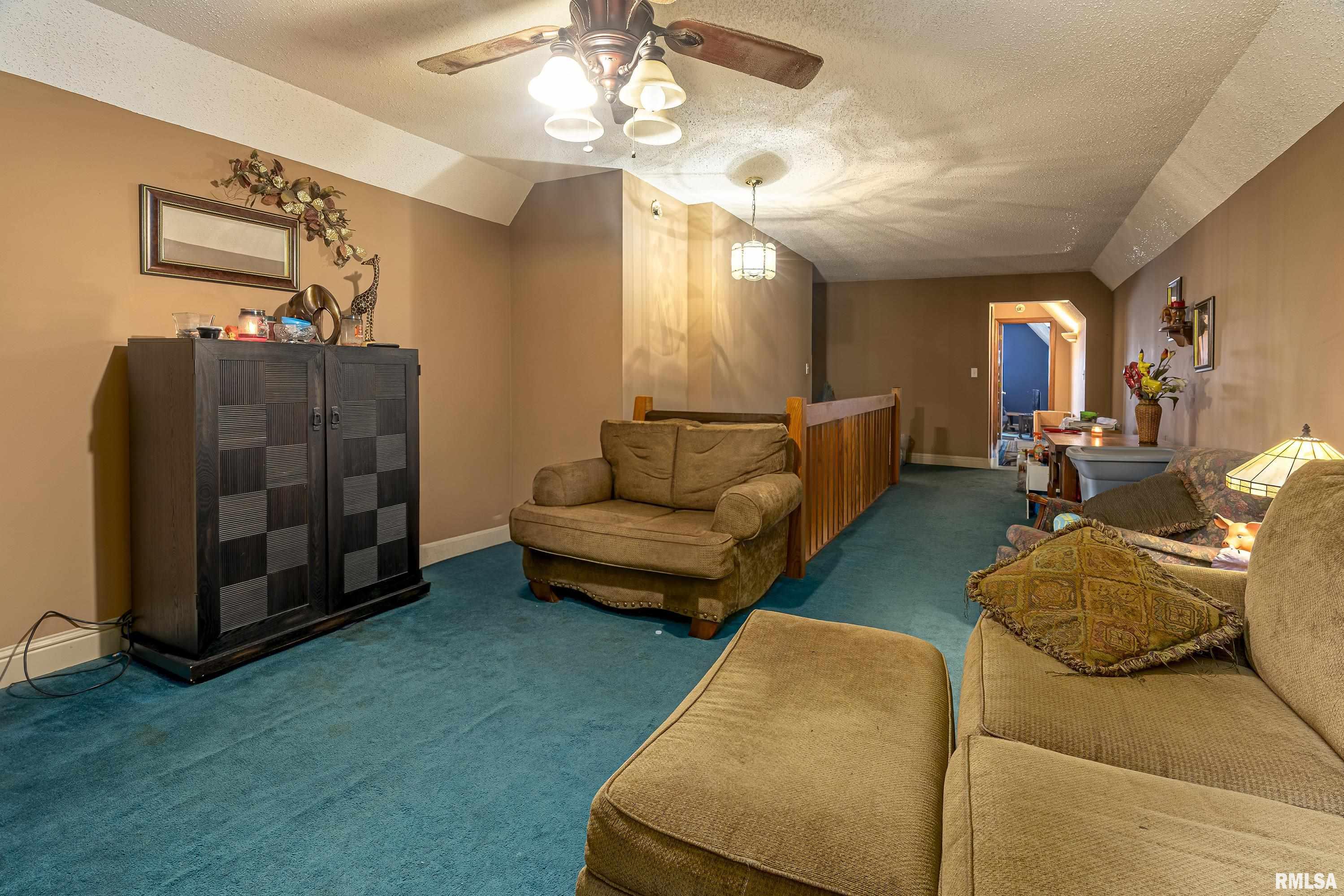 322 Willards Ferry Road Jonesboro, IL 62952 - Photo 26 of 35 Gallery Image 26