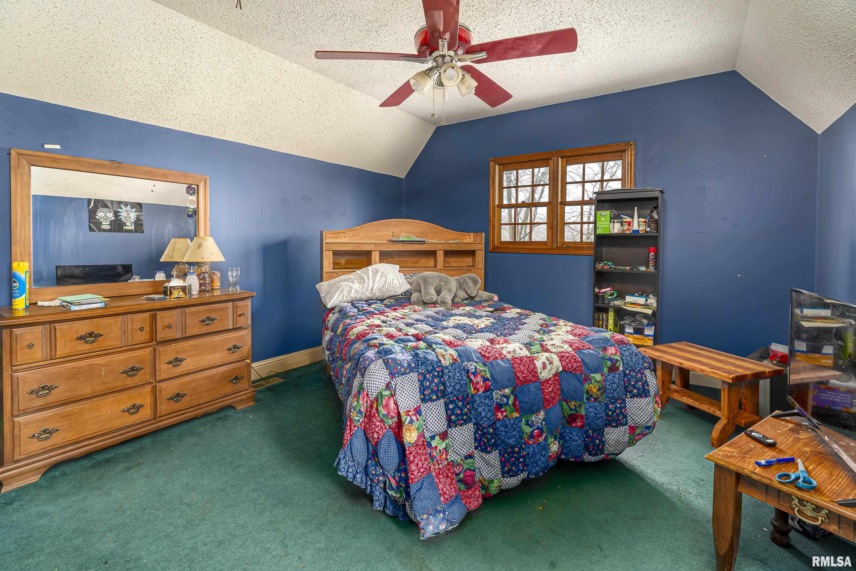 322 Willards Ferry Road Jonesboro, IL 62952 - Photo 28 of 35 Gallery Image 28