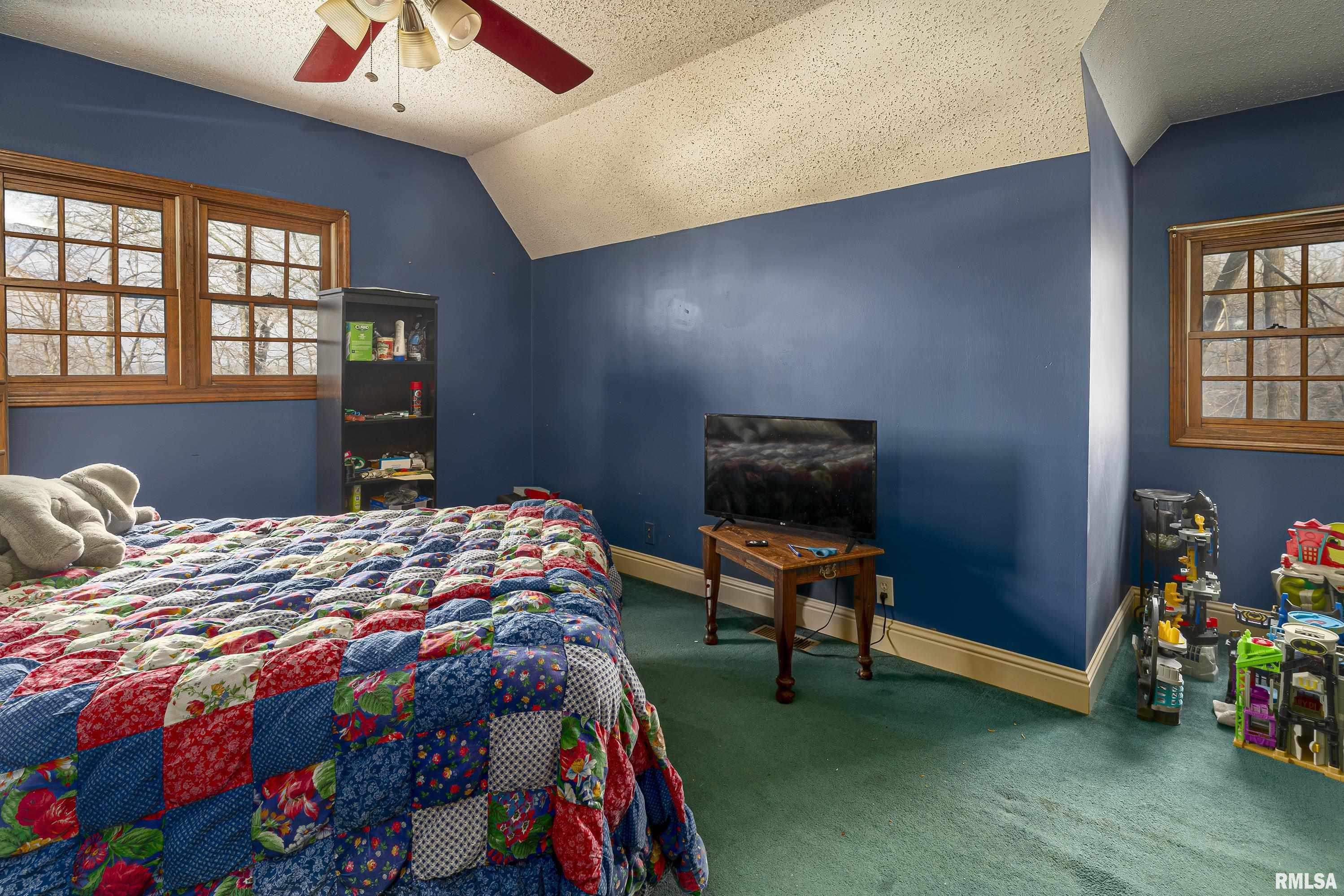 322 Willards Ferry Road Jonesboro, IL 62952 - Photo 29 of 35 Gallery Image 29