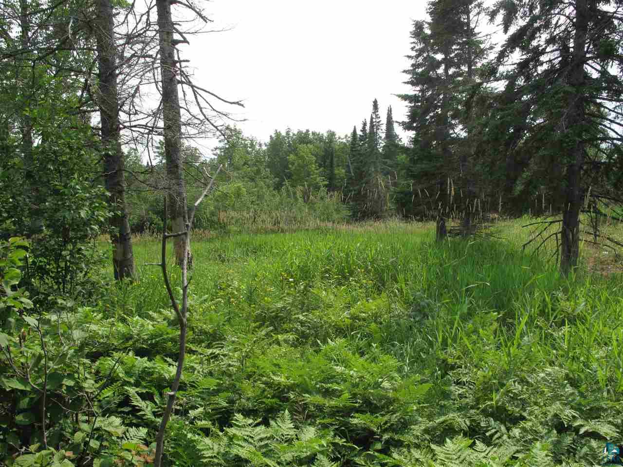 2-xx Mink Ranch Road Lutsen, MN 55612 - Photo 19 of 30
