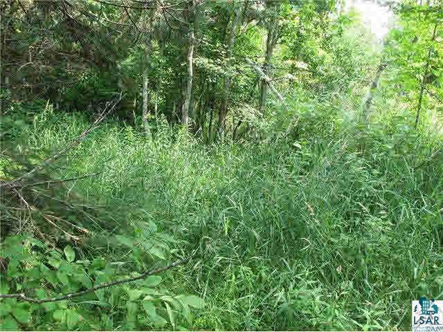 2-xx Mink Ranch Road Lutsen, MN 55612 - Photo 24 of 30