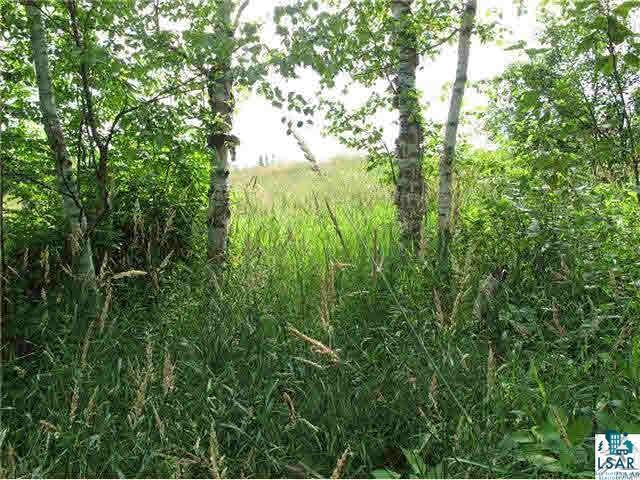 2-xx Mink Ranch Road Lutsen, MN 55612 - Photo 25 of 30