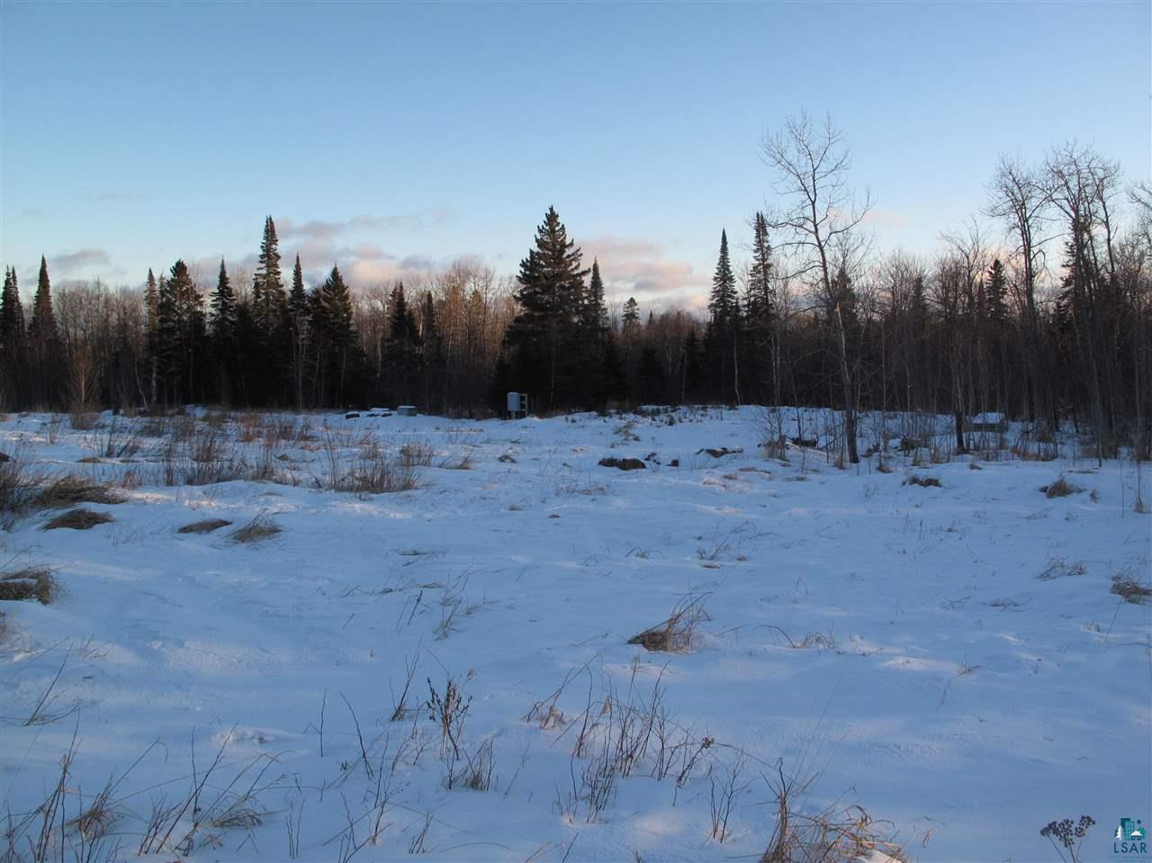 2-xx Mink Ranch Road Lutsen, MN 55612 - Photo 3 of 30